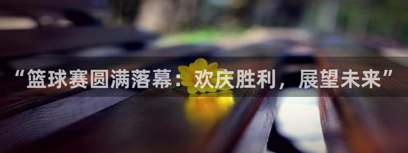 “篮球赛圆满落幕：欢庆胜利，展望未来”