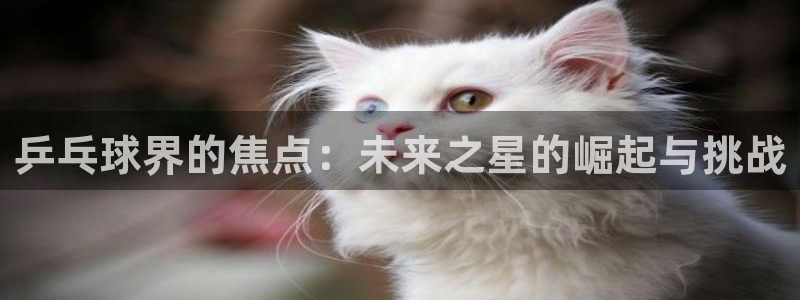 明升体育备用网址：乒乓球界的焦点：未来之星的崛起与挑战